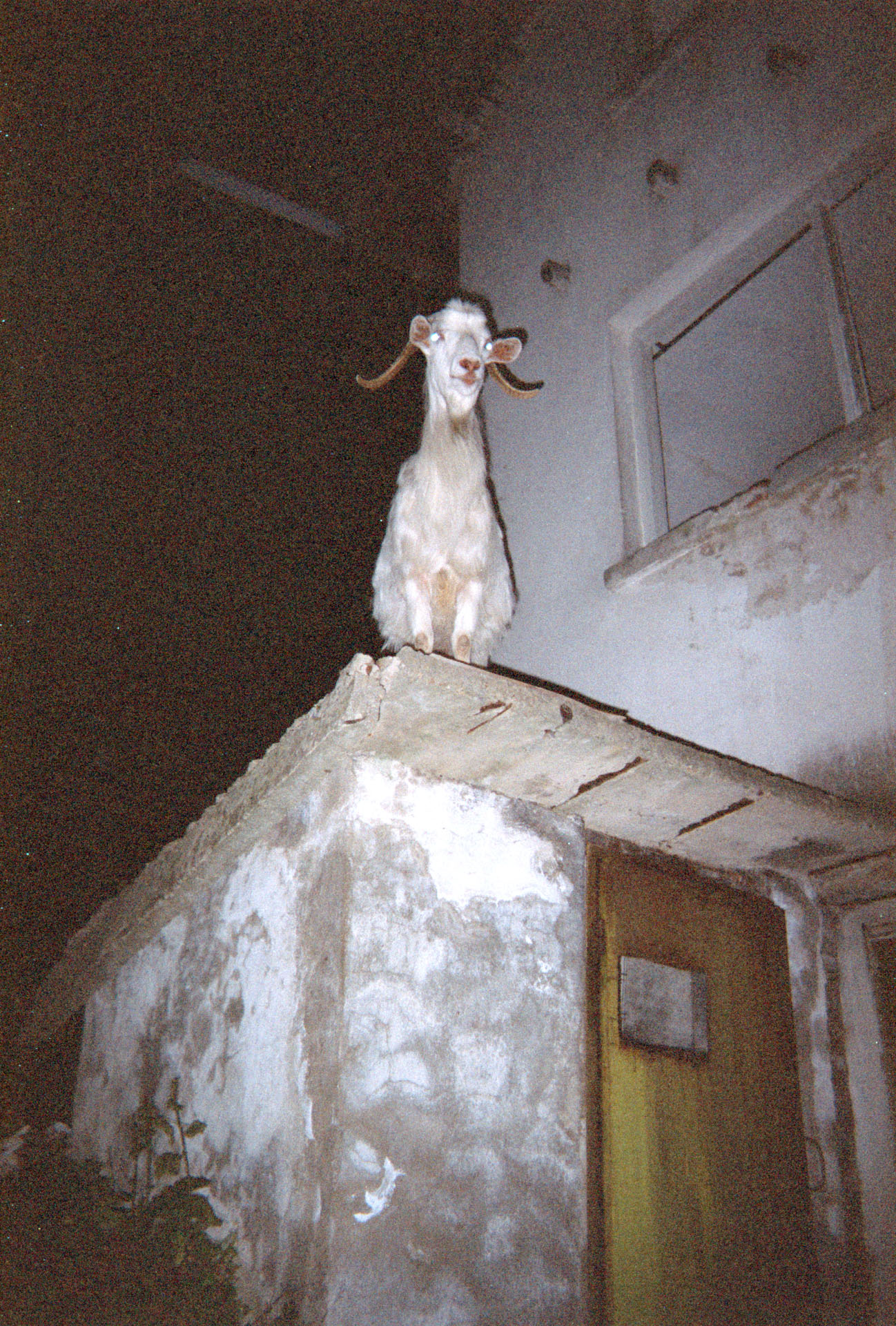 34