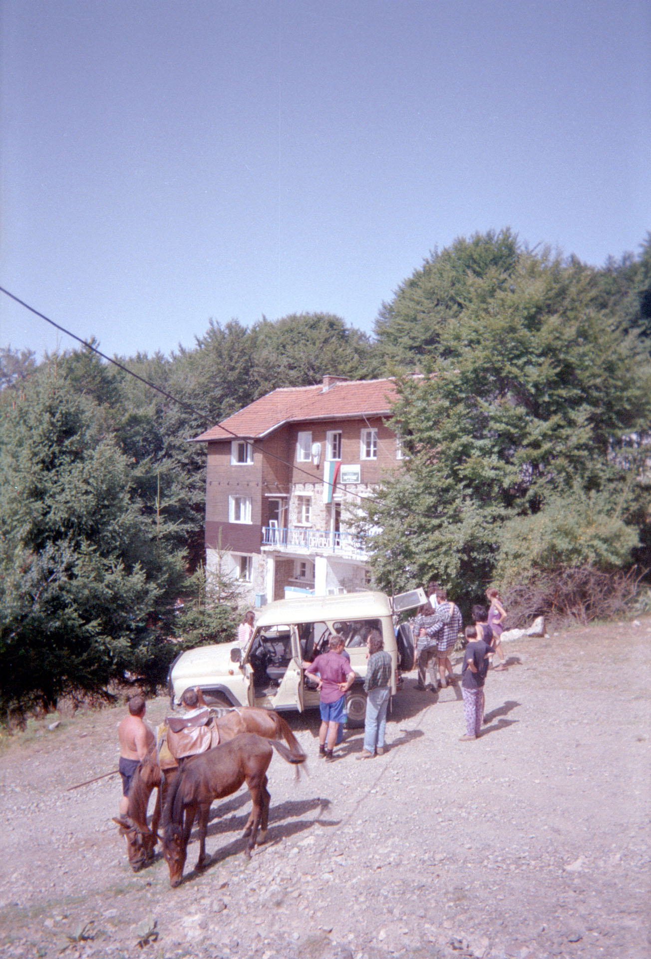36
