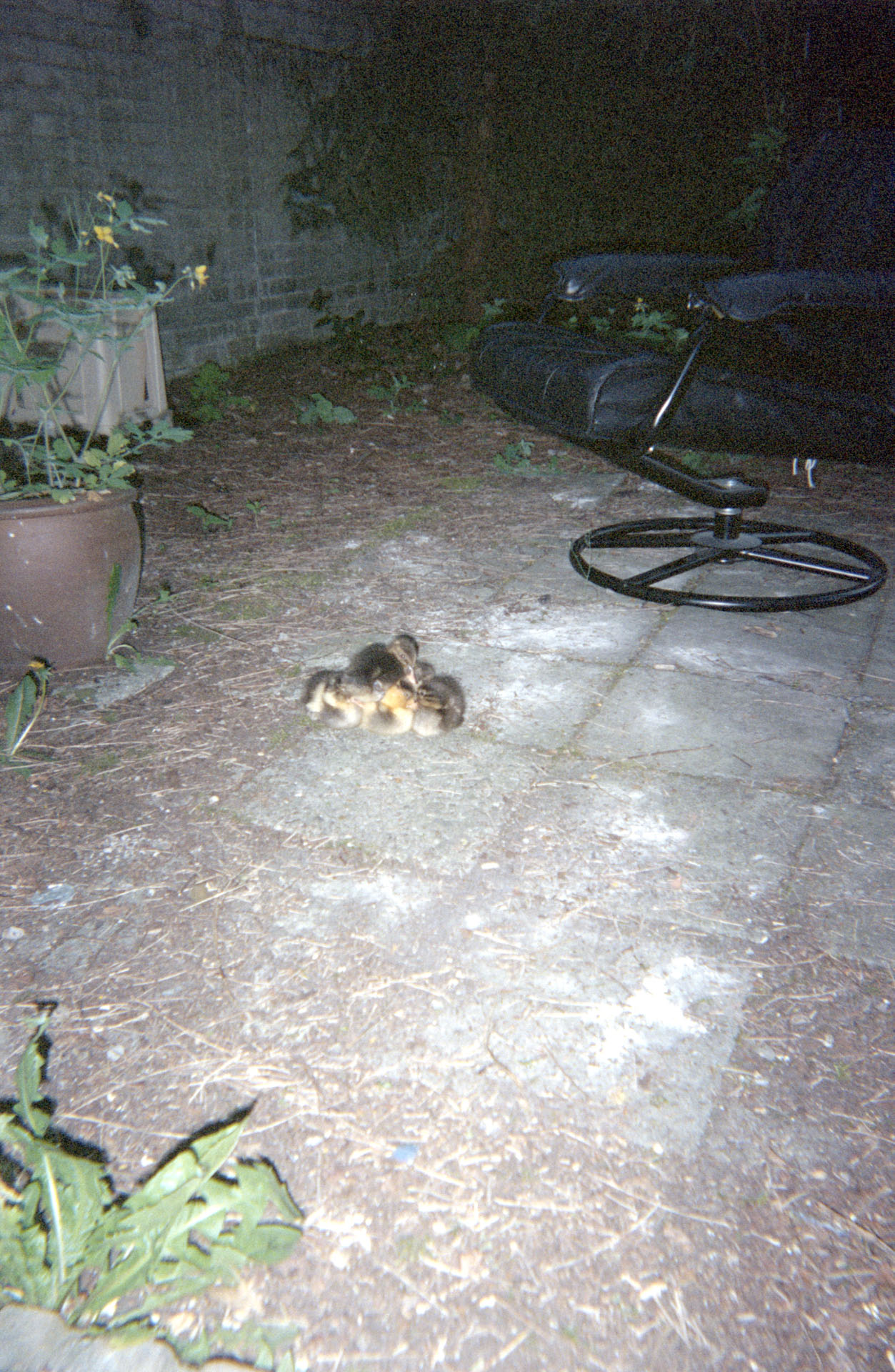 09