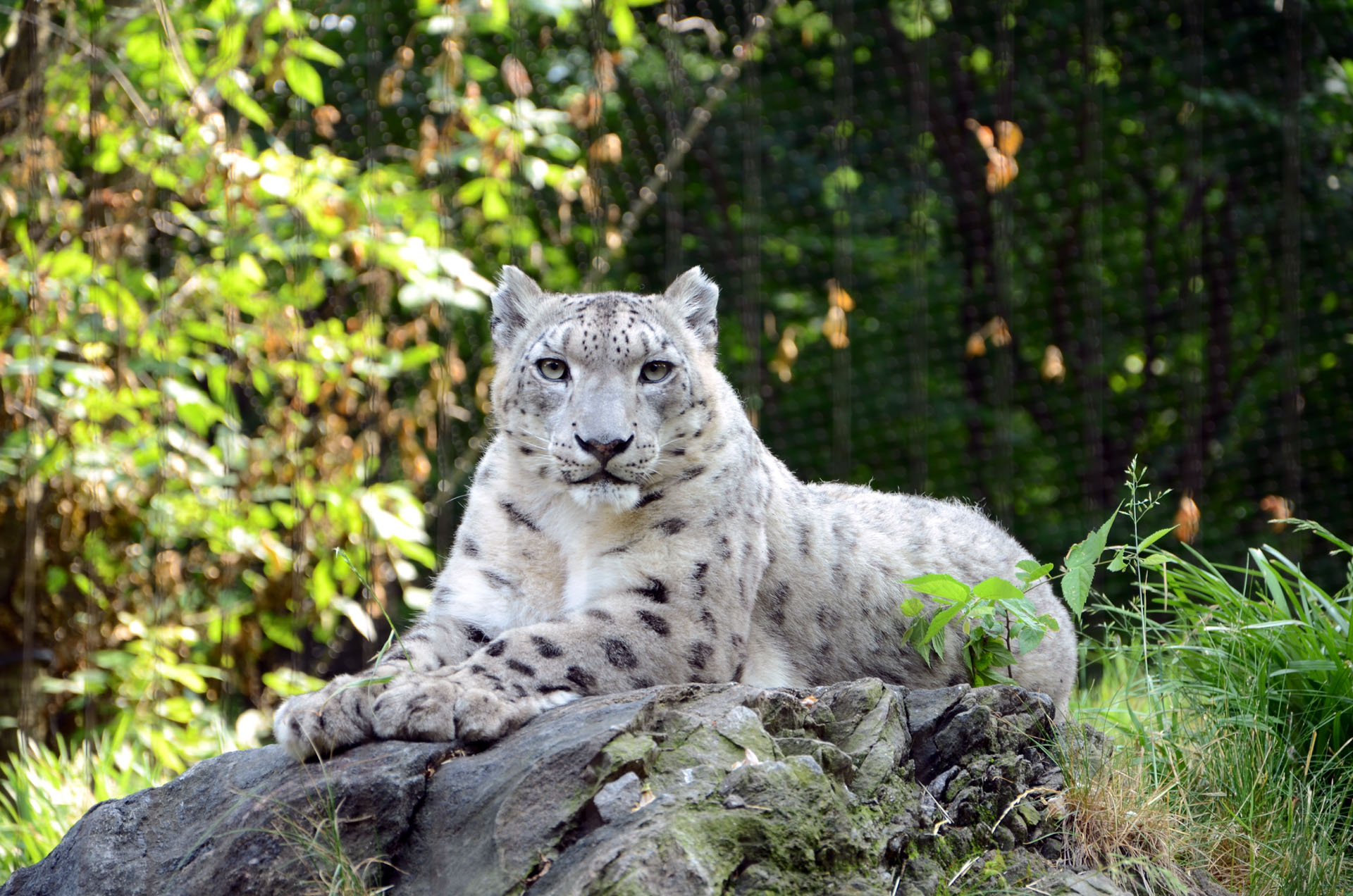 Central Park Zoo