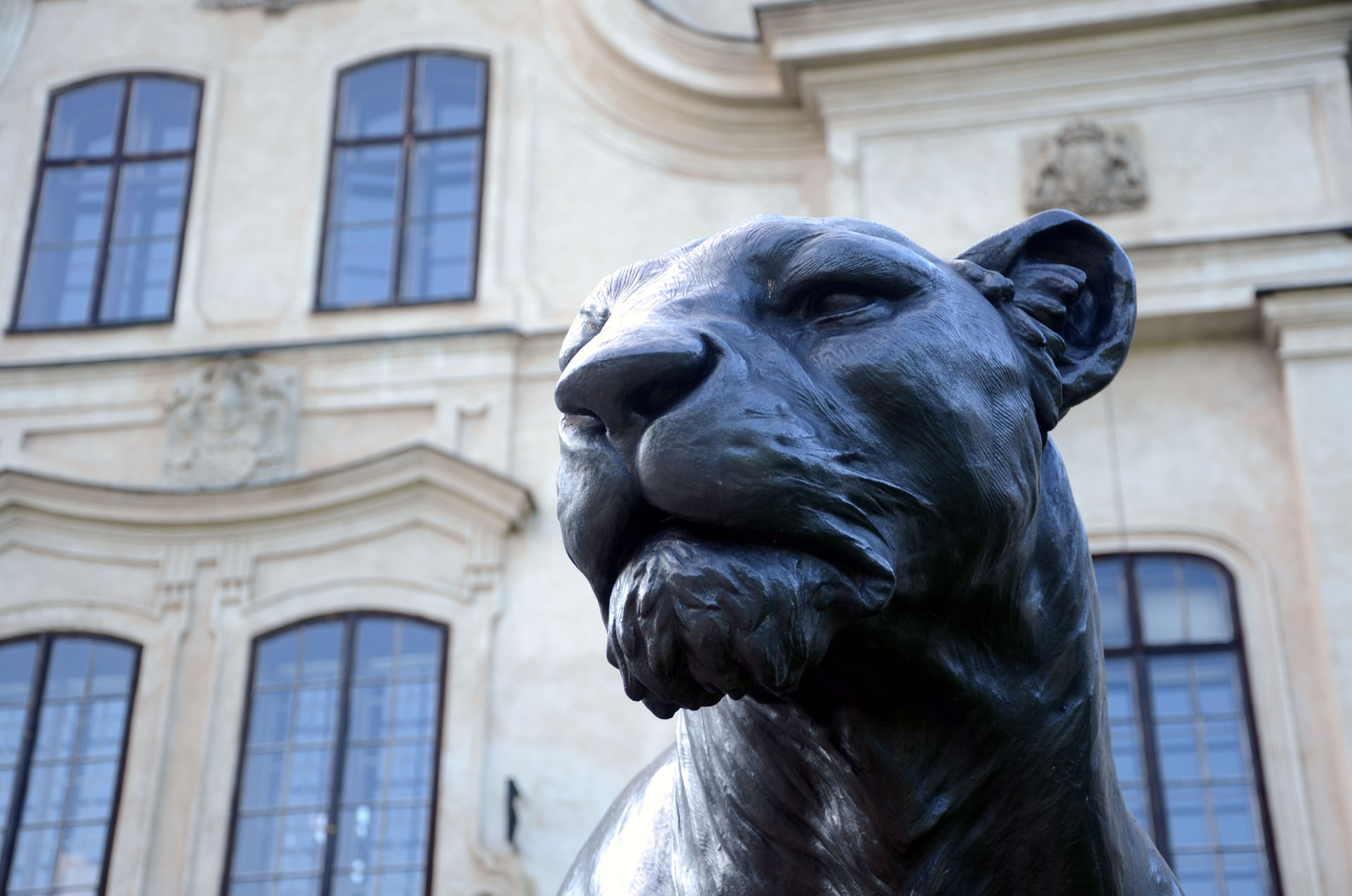 Vihorlat Museum