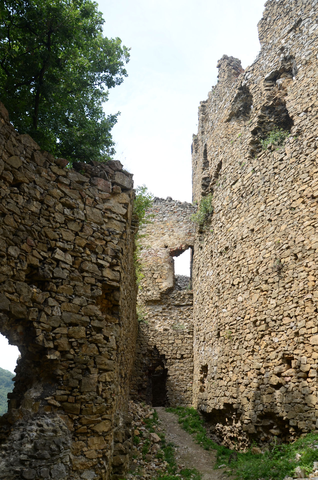 Jasenov Castle