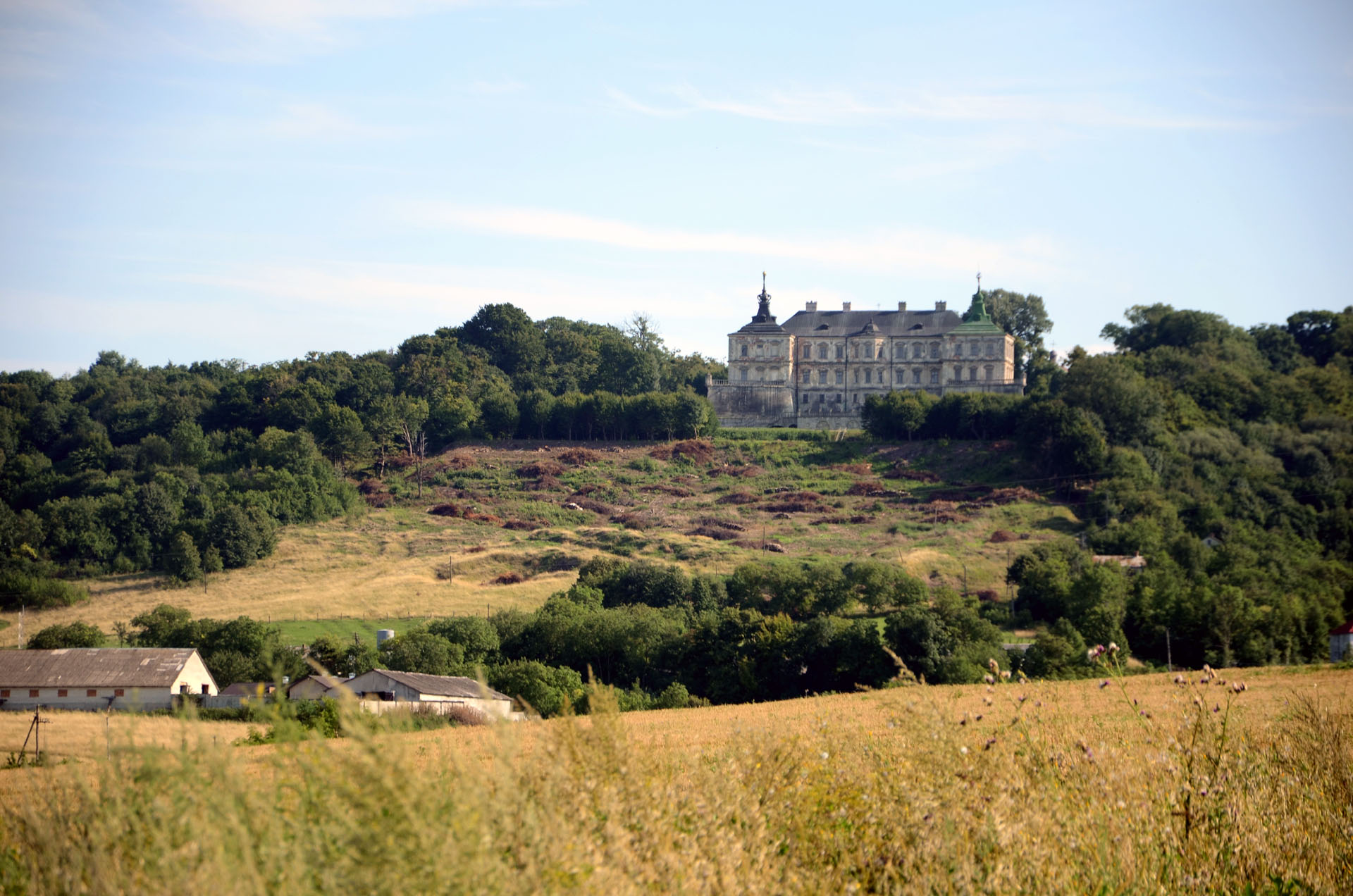 Pidhirtsi Castle