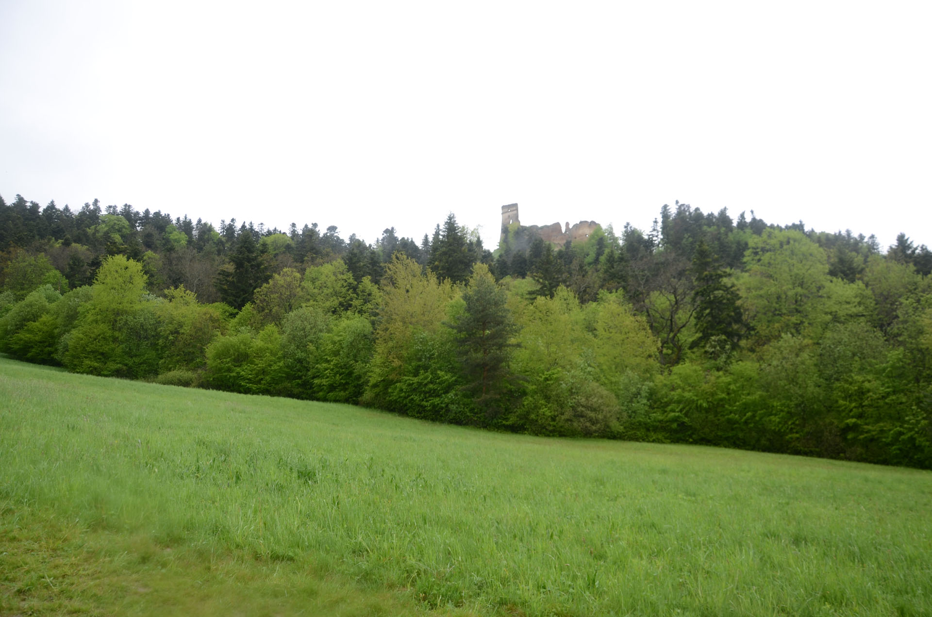 Zborov Castle