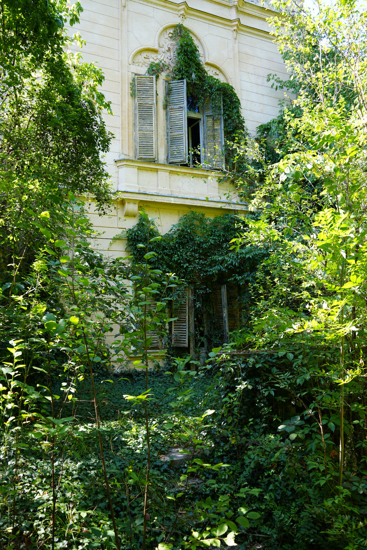 Mocioni Castle