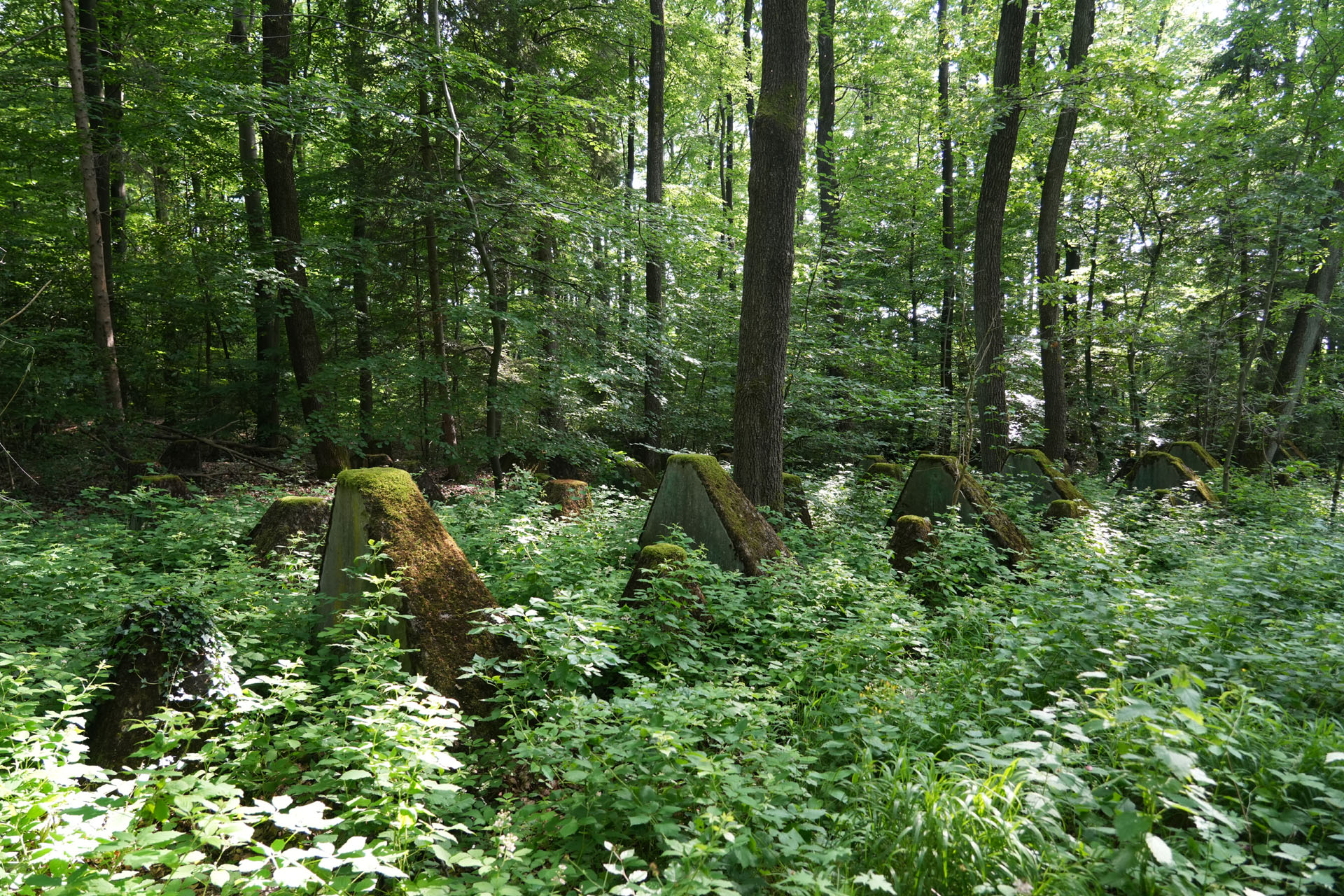 Siegfried Line